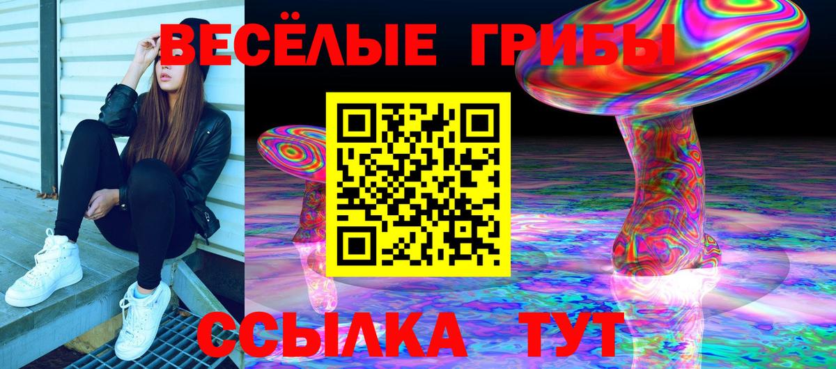 Смоленск  Псилоцибиновые грибы Psilocybe  Псилоцибиновые грибы прущие грибы  Вход с VPN 